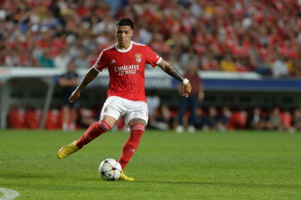 格里马尔多：本菲卡因恩佐离队几乎崩溃，但面对1.2亿欧又能如何